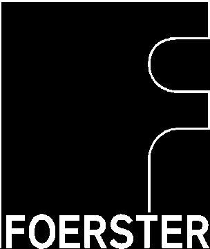 FOERSTER INSTRUMENTS I N C O R P O R A T E D Techniques for Detection of Surface
