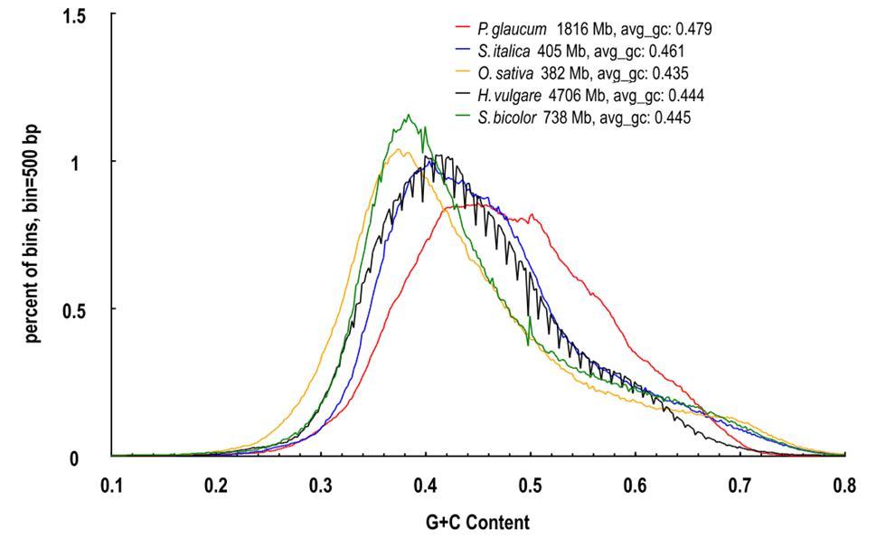 Supplementary Figure 4. GC content distributions in selected grass genomes.