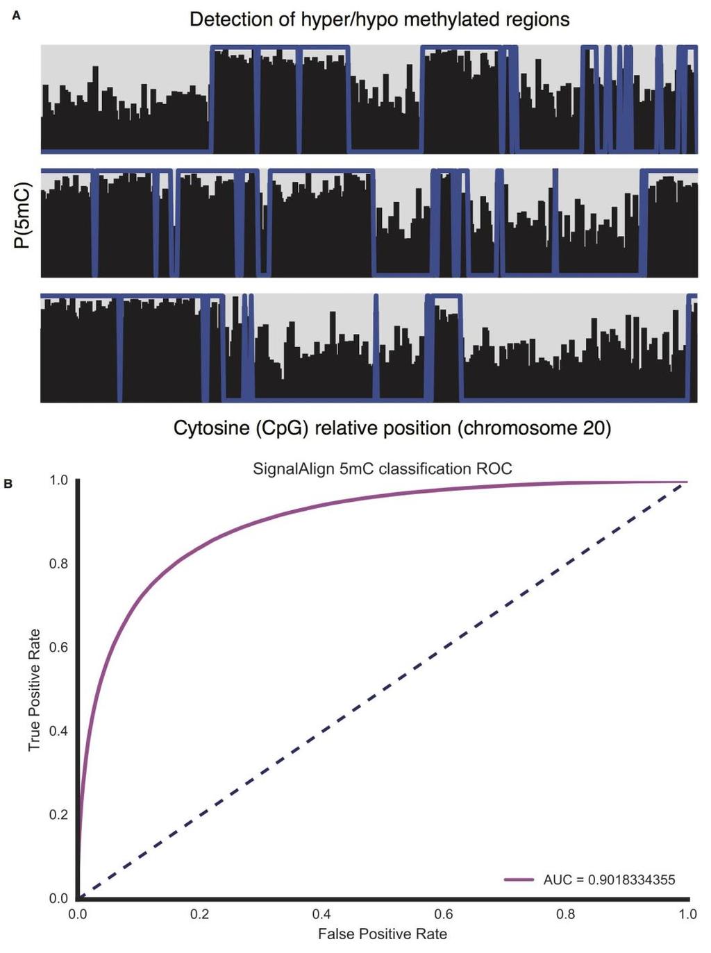 Supplementary Figure 9 Methylation A) Native DNA methylation detection on a selected portion of chromosome 20. Individual plots show 500 called cytosine bases ordered along chromosome 20.