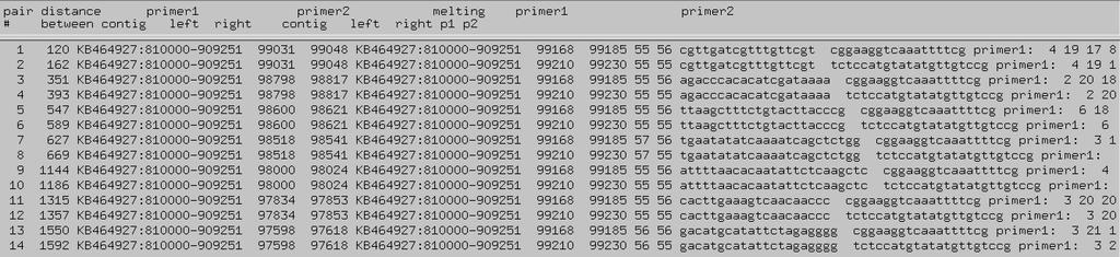 Prakash 16 Figure 10: List of PCR Primers Possible for Checking Position 99,103 The PCR primers used were determined by checking for a PCR product with a size between 600 and 1200 bases as well as