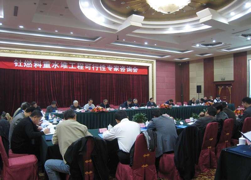 CANDU Reactors: Fuel Adaptable Advanced Fuel CANDU Reactor (AFCR) Expert Panel Review Independent Chinese expert panels reviewed results and defined the proposed new build concept to be practical and
