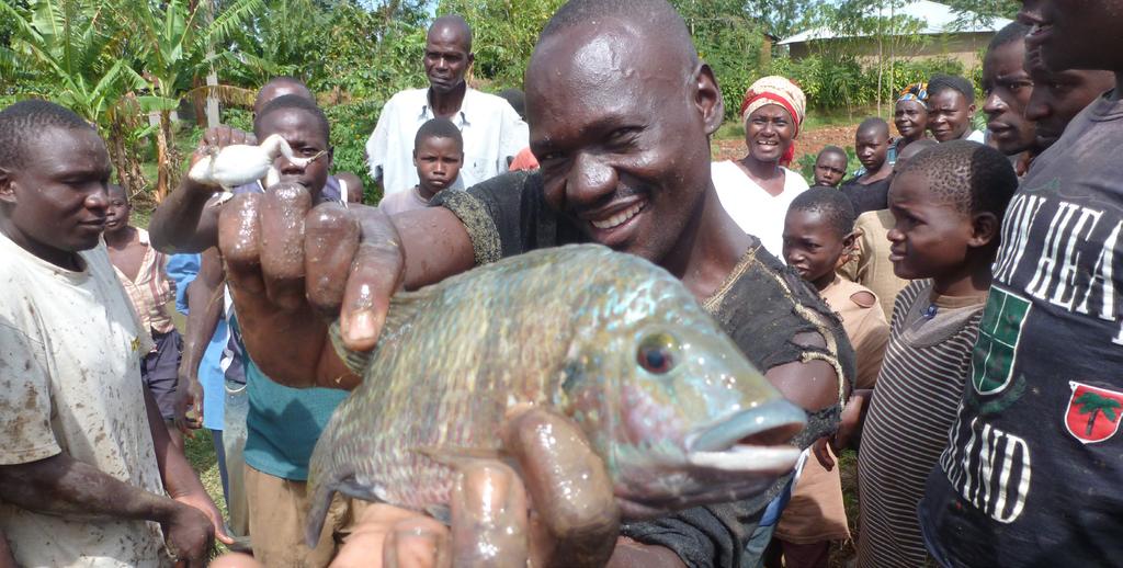 Due to their proximity to Lake Victoria, 60% of households in Western Kenya are dependent on fish for a key part of their daily diet and livelihoods.