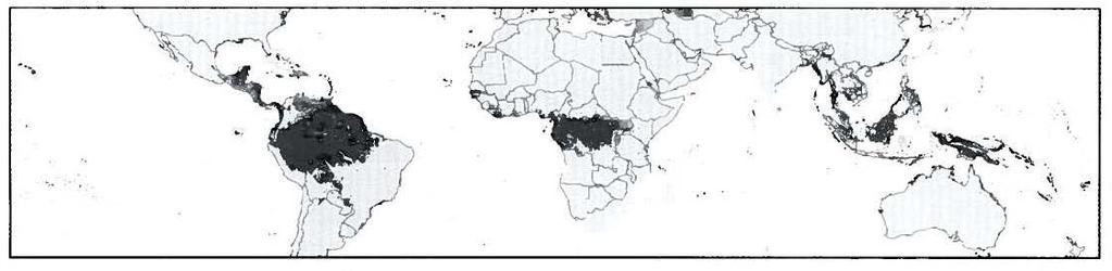 Areas of tropical rainforest Over 85% of the world s poor in