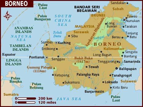 Why Borneo?