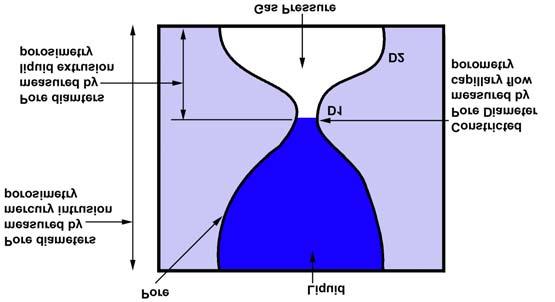 displace liquid from the most constricted part of the pore (Figure 8). Consequently, pore diameter calculated from the pressure is the diameter of the pore at its most constricted part.