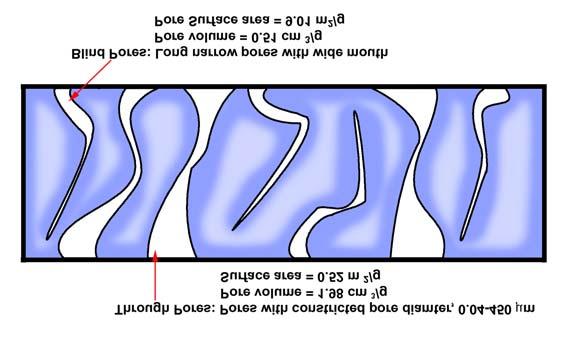 constitute wide mouths. Such a pore configuration is consistent with the surface area. The through pore volume measured by extrusion poprosimetry is 1.