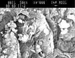85 m/s Figure 5-12: Surface morphology shown by SEM photos at the top of pastilles at various impacting