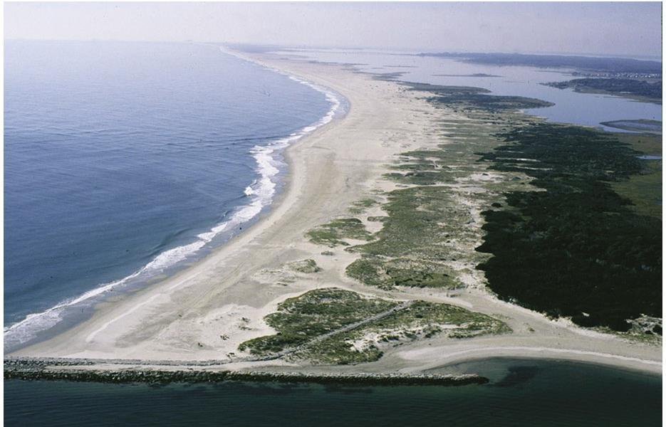 SANDY BEACHES / BARRIER ISLANDS Narrow islands made of sand that form parallel to a coastline Provide protection from storms,