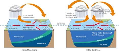 Prevailing winds in tropical Pacific Ocean change direction Affects