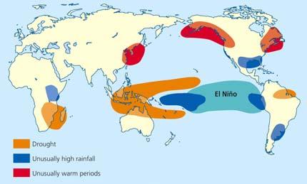 ocean currents, and biomes Normal and El Niño Conditions Impact of El