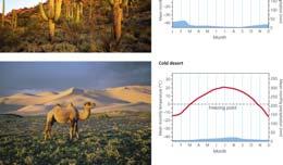Climate Graphs of