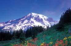 Mount Rainier National Park in Washington State Natural Capital Degradation Major Human Impacts on Terrestrial Ecosystems Deserts Grasslands Forests Mountains Large