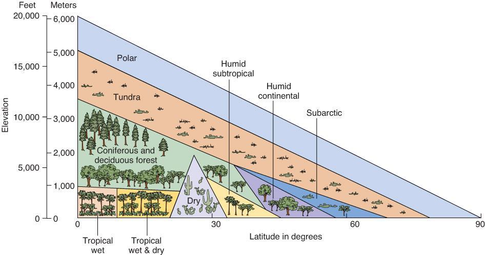 Altitudinal Biomes Because climate varies with altitude, the