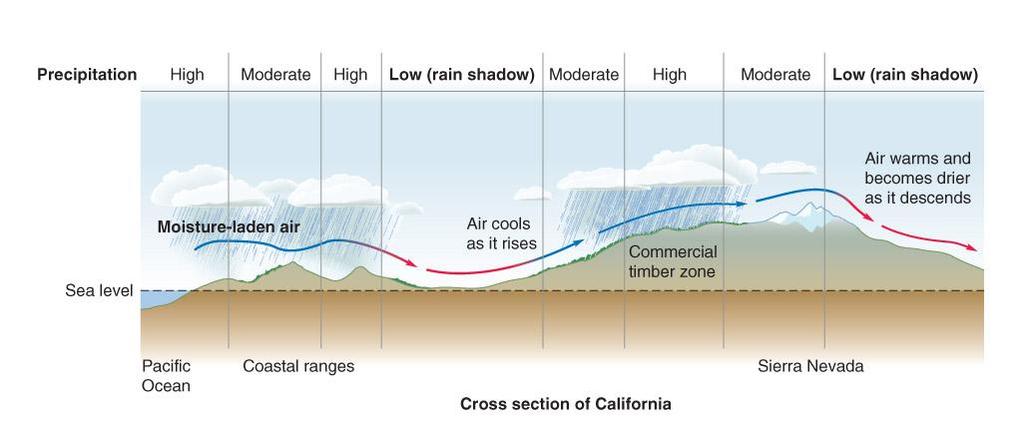 Topography Weather is also affected by topography, especially mountain ranges.