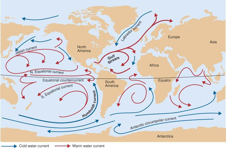 Ocean Currents Warm water from the equator flows toward the poles.