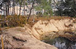 Development of sinkholes, subsidence Subsidence Sinkhole in Florida