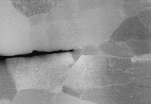 2812 Y. Nagatomo et al. EHT:17.00 kv WD:5 mm EsB EHT: 2 kv WD: 3 mm Crack front Dislocation Crack 400 nm 2 µm Fig. 9 SEM-AsB image of tip of crack in layer.