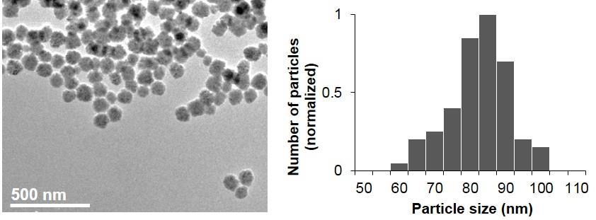 Synthesis of Modified Nanoparticles Example of nanoparticle functionalization and antibody coupling scheme: Modify nanoparticle with silane agents
