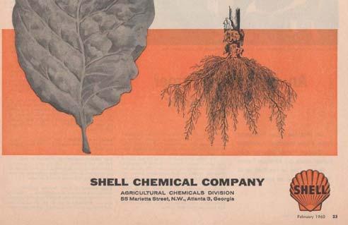 historical pesticides and