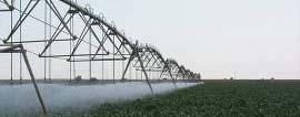 How much water for an average corn field?