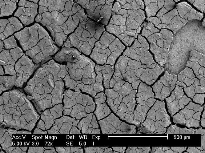 (b) Surface of Fe 3 O 4 nanoparticles