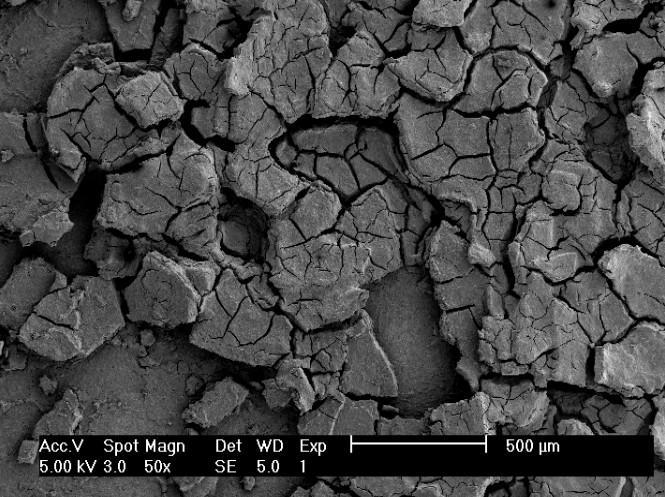 4 SEM images of Fe 3 O 4 nanoparticles