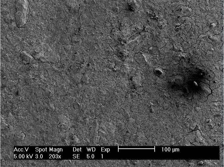 The surface of Fe 3 O 4 nanoparticles coating after annealing at 100 C for 1 hour
