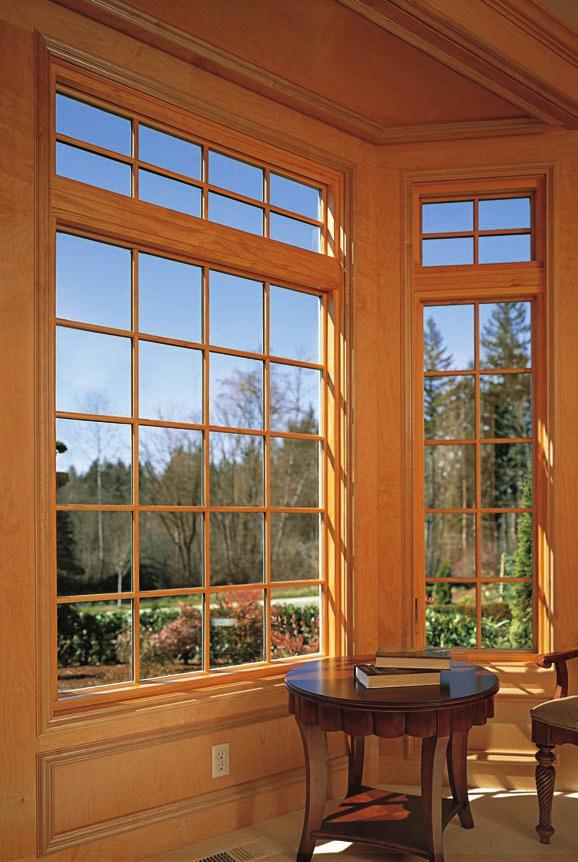 Palmetto Stacks Up DESIGNED TO LAST Palmetto windows are engineered to provide exceptional performance on many levels with: A unique solid-core cellular structure encapsulated with a rigid