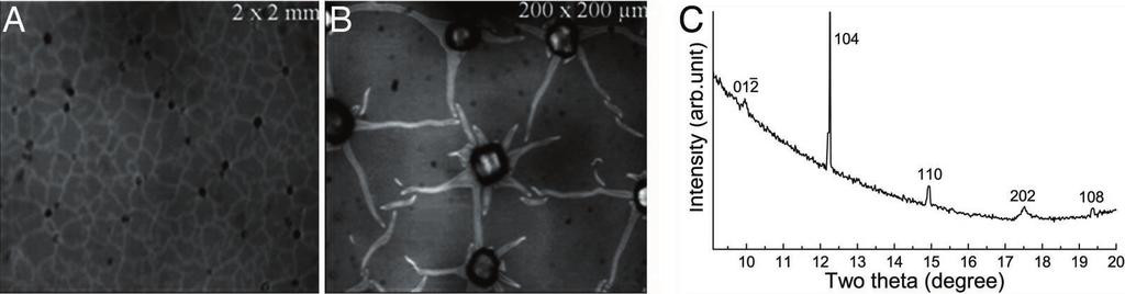 Fig. 8. TOF-SIMS depth profile of fibronectin (A), fibronectin mineralized with flow cell method (B), and fibronectin immersed in a CaCl 2 sample (C) for H, Si, K, and Ca.