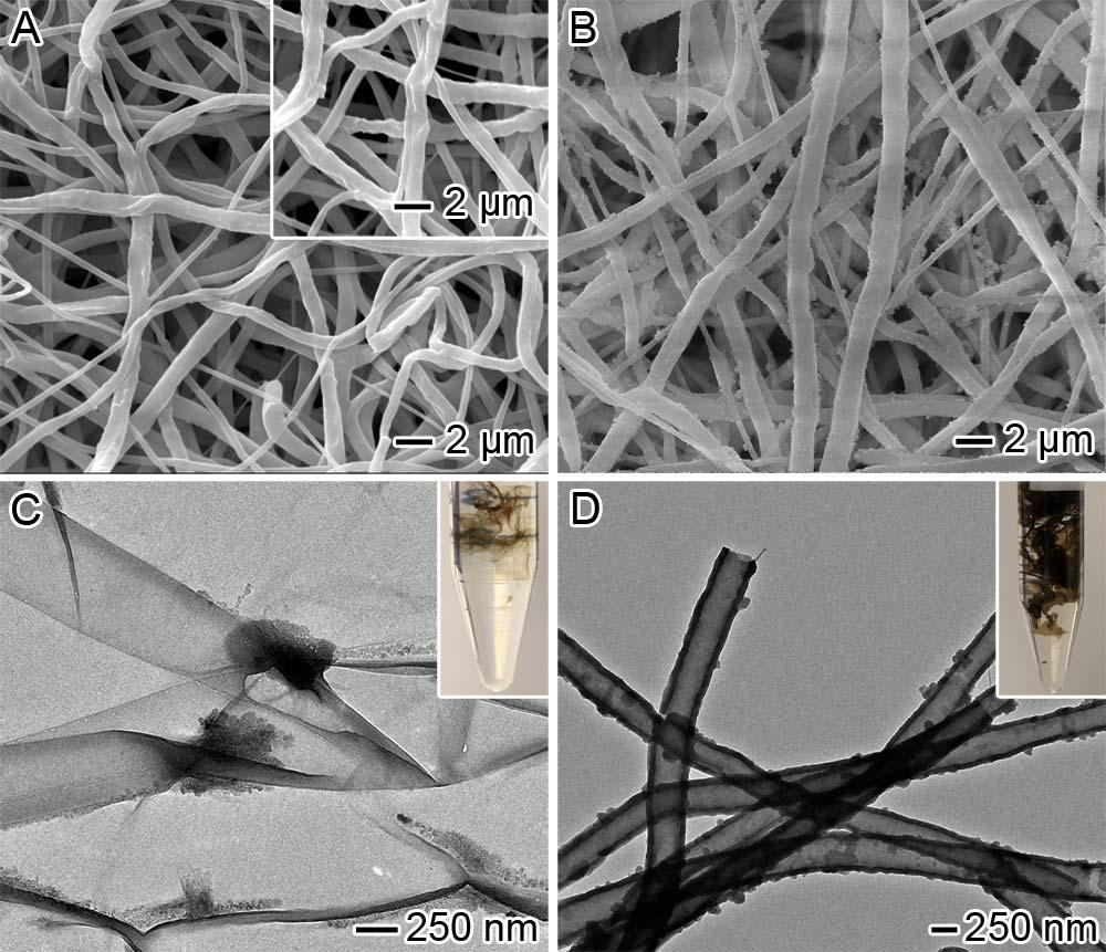 FIGURE 1. (A, B) SEM images of PCL fibers after coating of polydopamine with 0.2 mg/ml and 2 mg/ml dopamine at ph 8.5 for 4 h and 72 h, respectively. Inset in (A): Pristine PCL fibers.