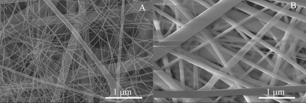 At the side closer to the glass slide, two populations of nanofibers were observed: small fibers of 10 to 30 nm in diameter and large fibers of 100 to 300 nm in size (Figure 3.7A).