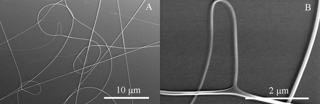 90 Figure 3.8. Fiber branching or bifurcation was examined in the electrsopinning of a 150 mg/ml SELP-47K solution in formic acid.