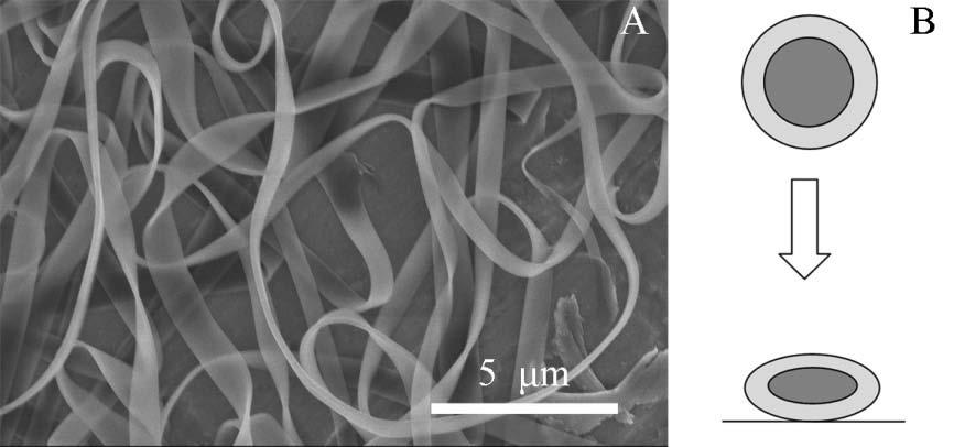 91 Figure 3.9. SEM images of SELP-47K nanofiberous scaffolds electrospun from 200 mg/ml SELP in distilled de-ionized water: A- ribbon-like nanofibers; B- the illustration showing the mechanism of