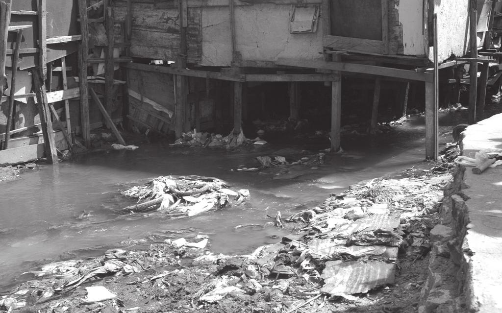 Figure 3: Solid waste in the Beberibe River Peixinhos, on the Recife / Olinda border. Source: olindahoje.blogspot.