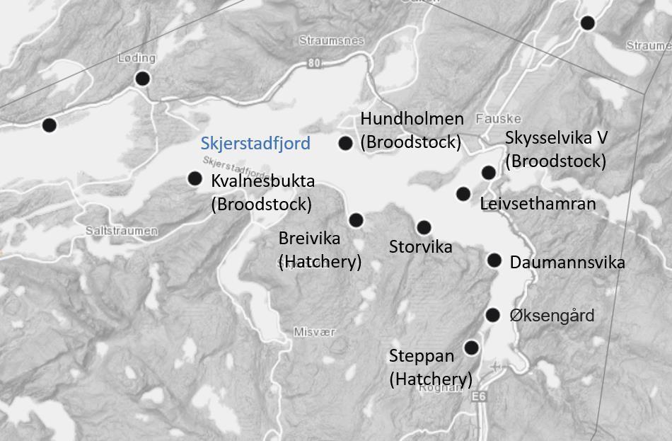 Figure 2. Map of Salten Aqua AS sites in Skjerstadfjorden showing broodstock, land-based hatcheries, and production locations.
