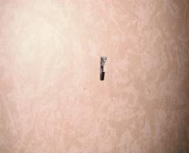 Walls and Ceilings Secure loose cabinets, cabinet doors, drawers, and