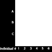 For our simple example of three different alleles designated A, B, and C illustrated above, six unique DNA profiles are possible.