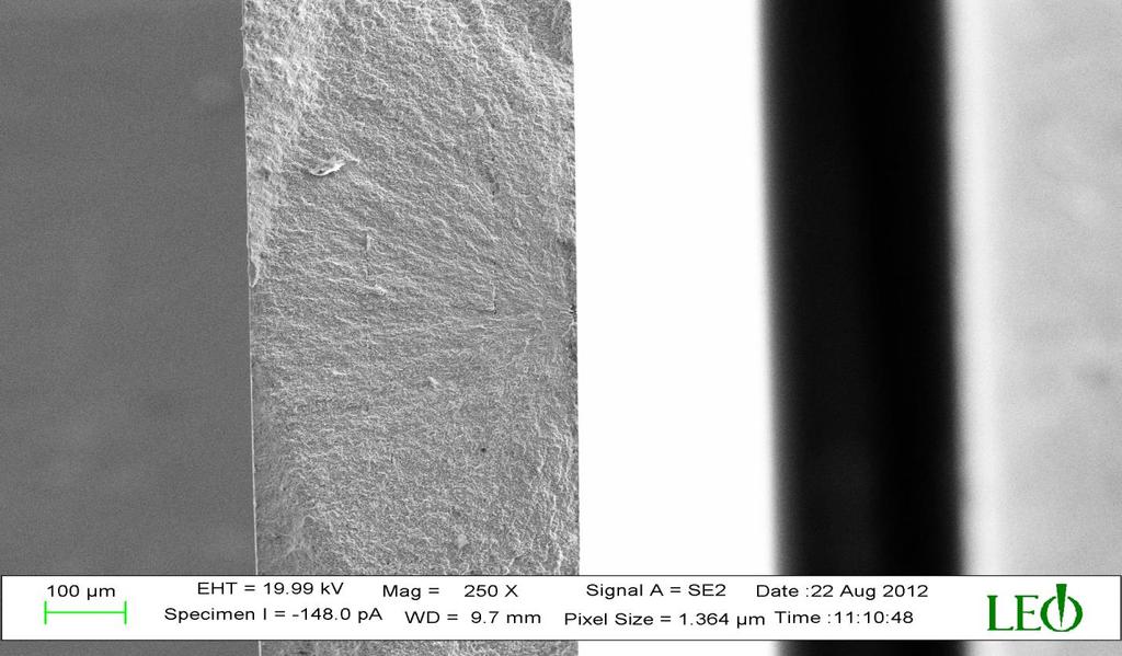 Figure 16 SEM Image showing the radial crack initiating from slag inclusion.