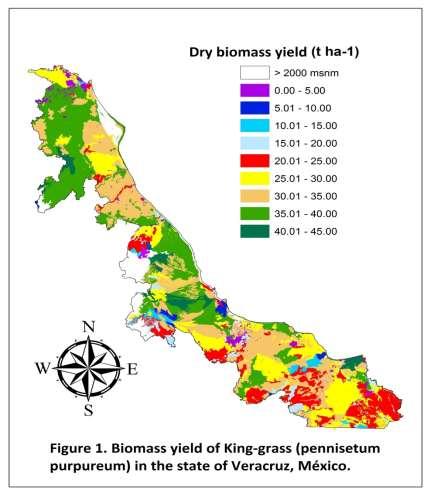 Biomass yield showed a wide range with a maximum of 45 t ha -1, which is within the range reported by various authors for tropical conditions similar to those found in Veracruz.