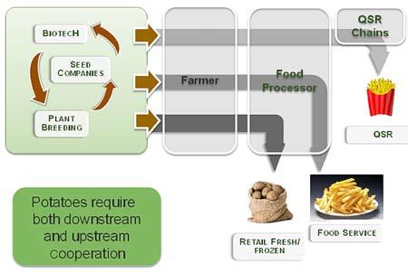 Figure 13. Potato commercialization. processor.