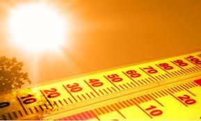 Record Hot Conditions in 2014