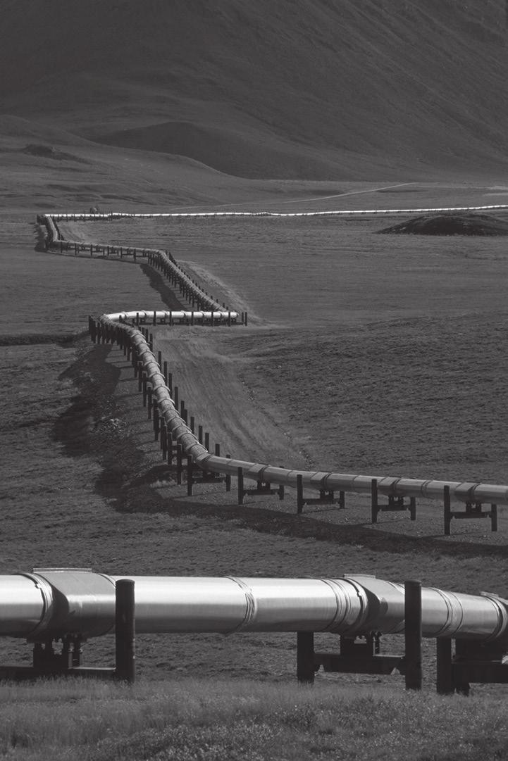 17 (e) Look at the photograph, which shows an oil pipeline in Alaska, and read the information.