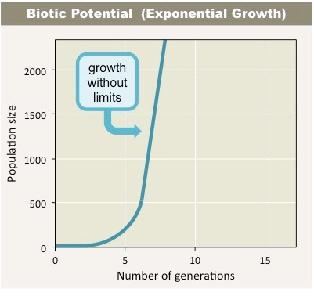Population Growth TOPIC C.5 POPULATION ECOLOGY What growth patterns are possible?