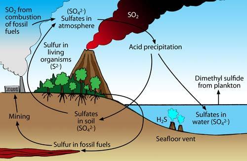 Sulfur Cycle Sulfur compounds are found in rocks, soil and fossil fuels (esp.