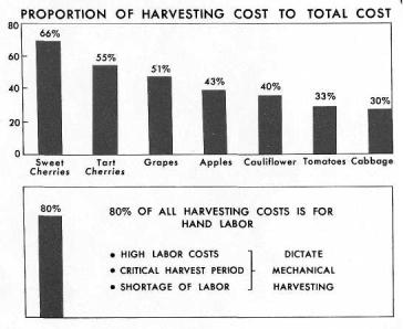 While other farm operations in general had reduced their labor requirement to 33 percent of that used in 1940, fruit and vegetable farms had reduced labor to only 57 percent of the 1940 requirement.