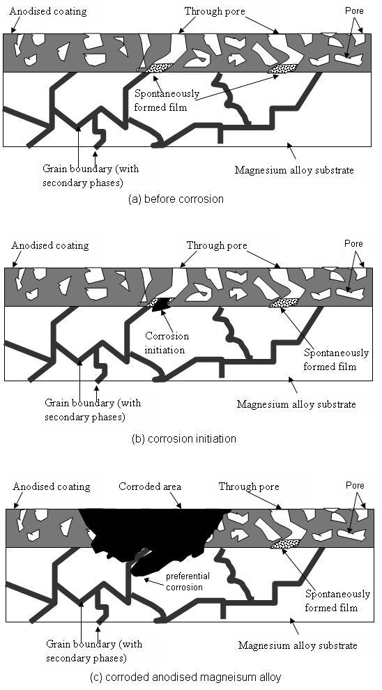 naturally formed porous surface film Film-pore or film-free area (a) unanodized Mg alloy porous