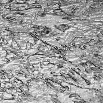 1 Substrate microstructure Figure 1 shows microscopic structure of etched surfaces of four specimens. The size of crystalgrain was 3 5 mm for 99.
