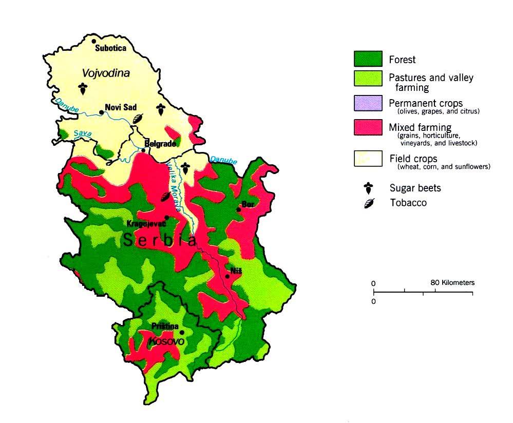 Figure 11 Distribution of farms in the Republic of Serbia as per crops which are cultivated at those farms Agricultural production, mainly crop planting, is a large source of residue (biomass).
