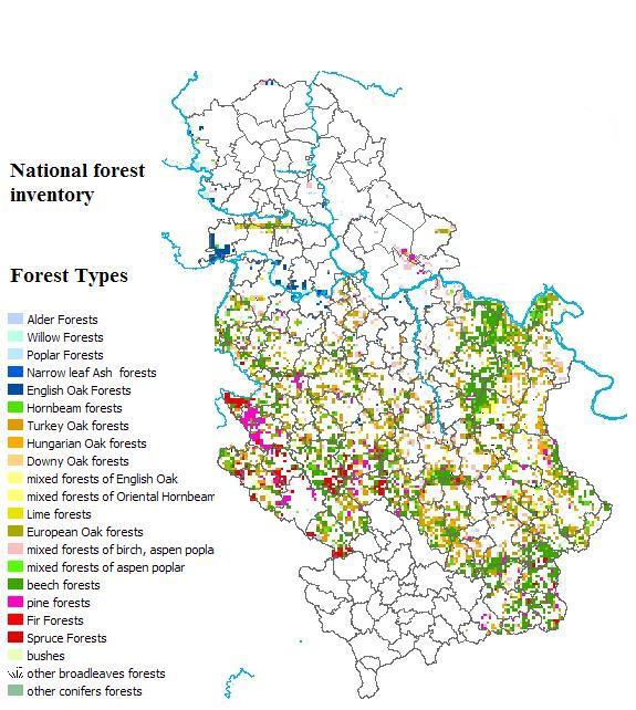 Area (ha) 174800 8% 621200 28% 1456400 64% High natural stands Coppice stands Artificially established stands Figure 15. Area according to forest type Broadleaved forests are dominating in Serbia.
