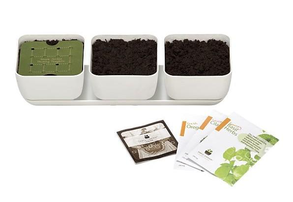 your home or on your porch with this 3-part Herb Kit
